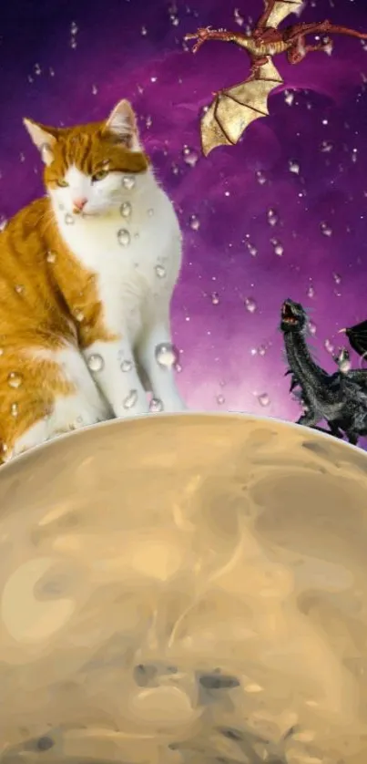 Fantasy wallpaper with a cat and dragons on a purple moonlit background.