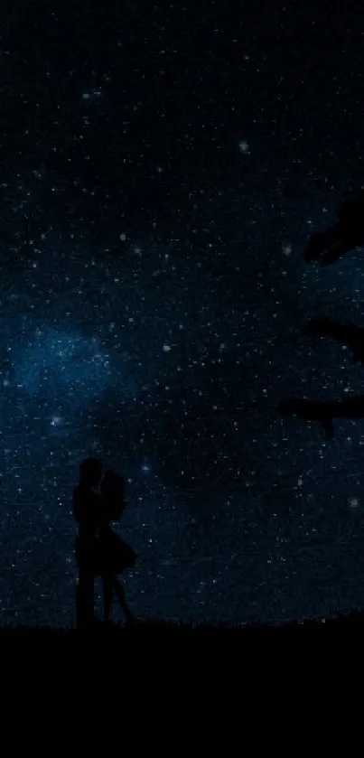 Silhouette of a dragon and person under a starry night sky.