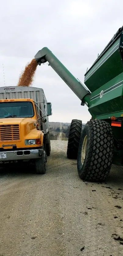 Farm machines loading grain efficiently.