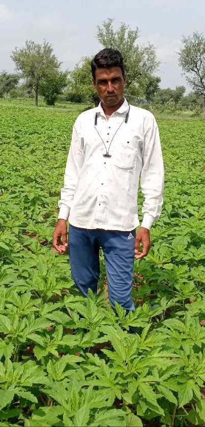 Farmer standing in a lush green field under a clear sky.