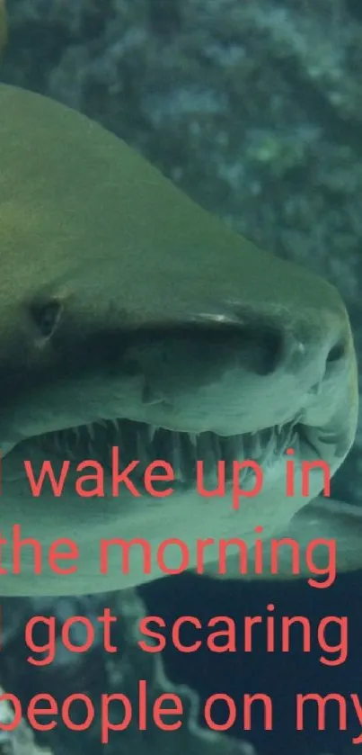 Shark swimming underwater in a rocky ocean landscape with text overlay.