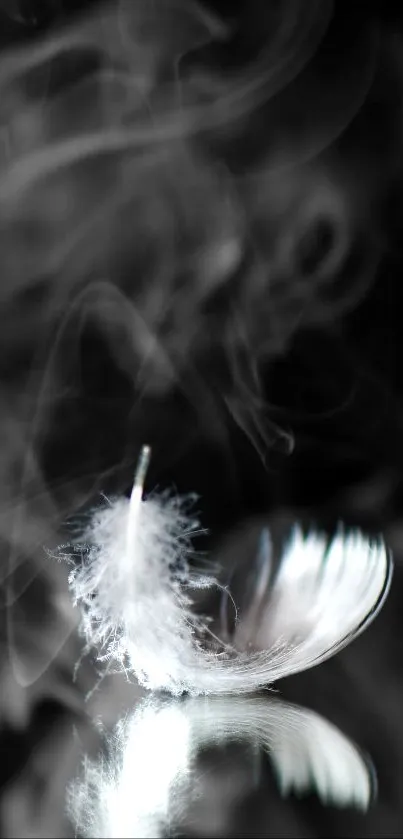 White feather amidst swirling smoke on a dark background.