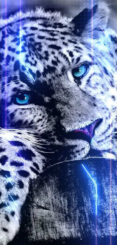 Felidae Carnivore Organism Live Wallpaper