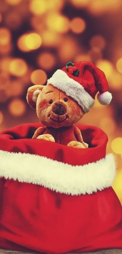 Teddy bear in Santa sack against a golden bokeh background.