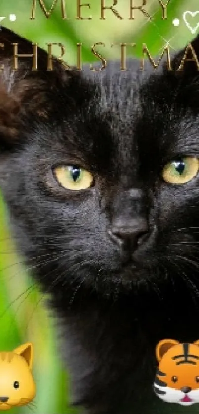 Black cat with Christmas text and green background.