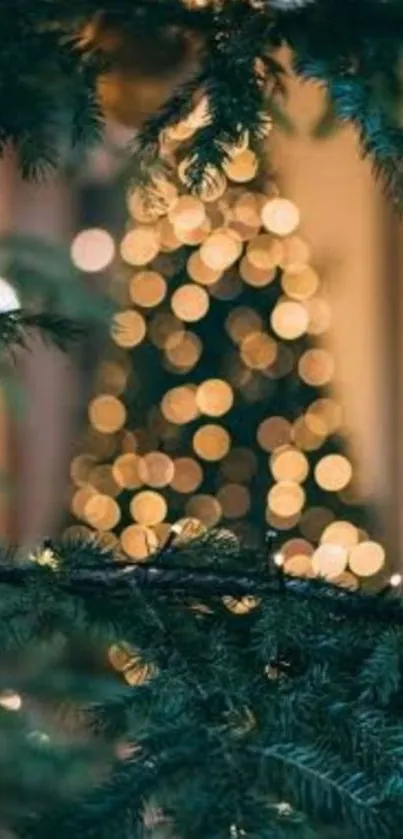 Christmas tree bokeh lights behind branches.