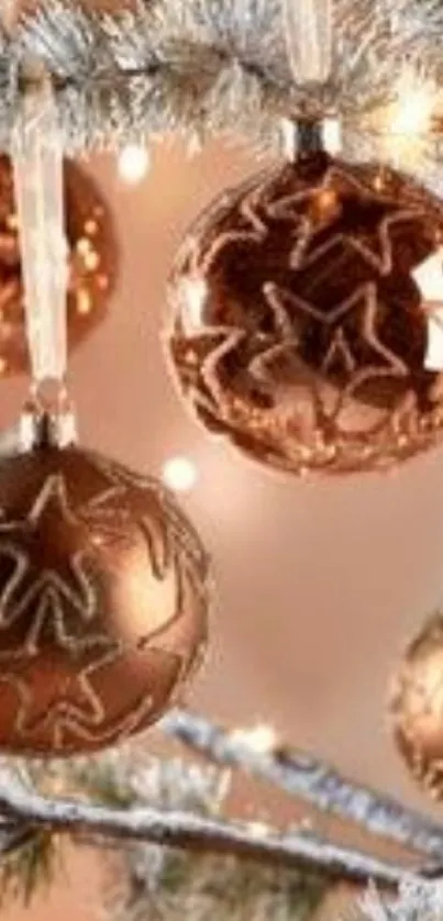 Bronze Christmas ornaments with stars on frosty branches.