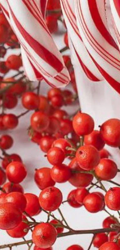 Festive wallpaper with candy canes and red holly berries.