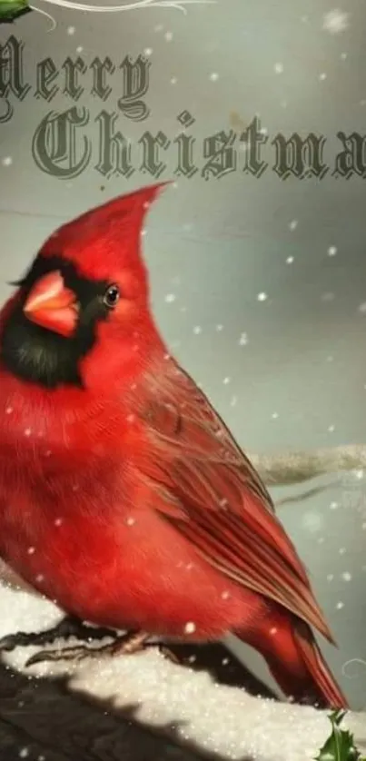 Red cardinal with Christmas greeting in snow.