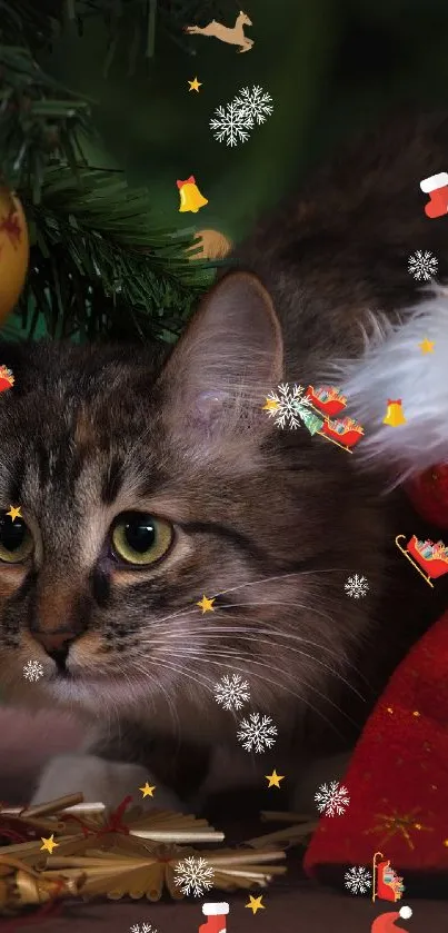 Festive cat with Christmas decor and red stocking.