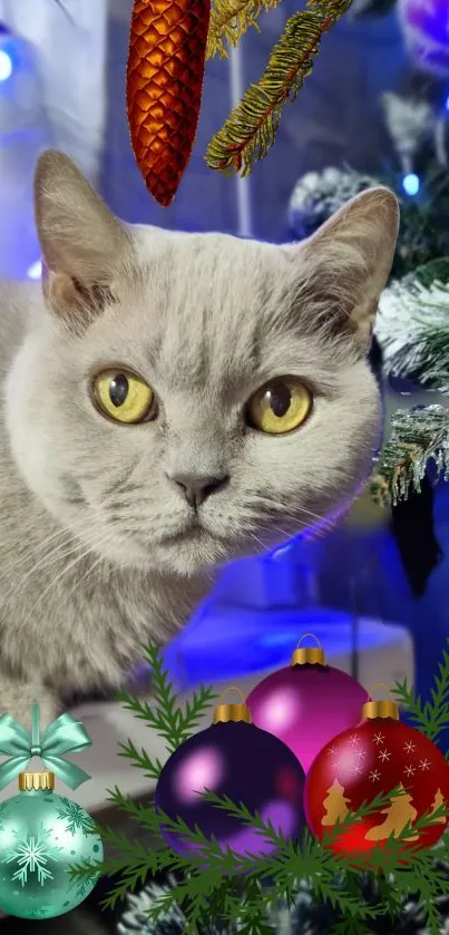 Cat with Christmas ornaments wallpaper.