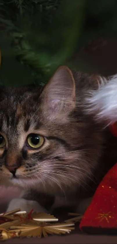 Curious cat with snowman by a Christmas tree and festive decor.