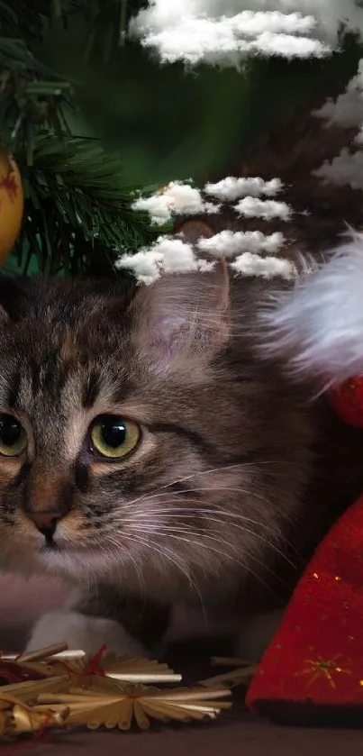 Tabby cat under Christmas tree with red sack.