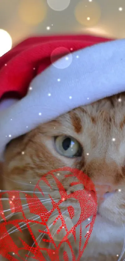 Ginger cat in Santa hat with festive lights