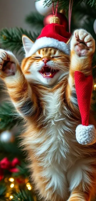 Cute cat with Santa hat in Christmas setting.
