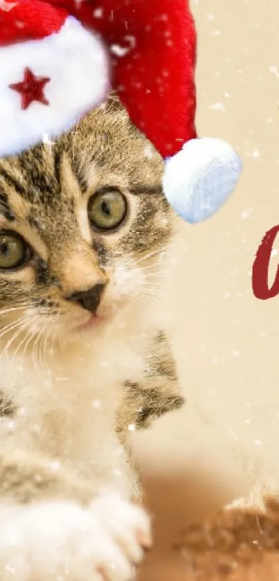 Cute kitten in Santa hat for Christmas mobile wallpaper.