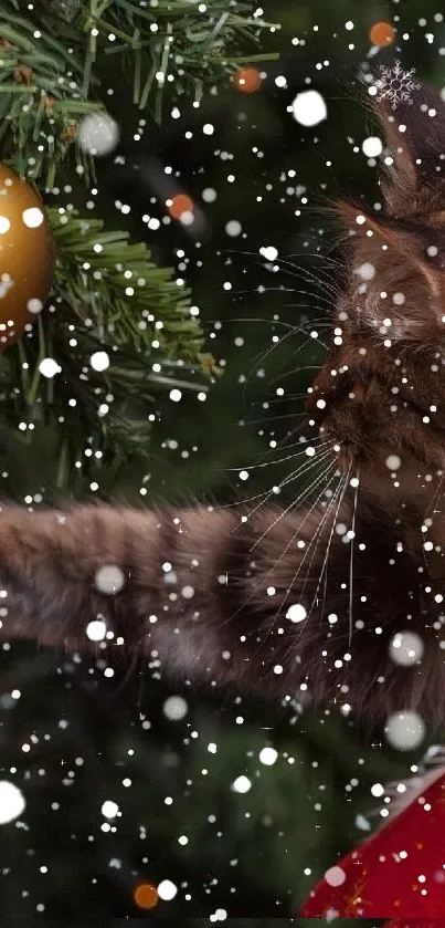 Cat plays with Christmas ornaments on tree.
