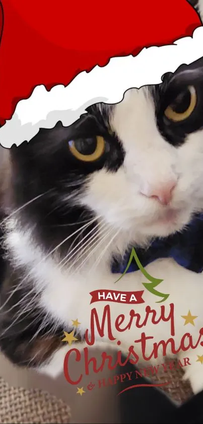 Festive cat wearing Santa hat and bowtie with Merry Christmas text.