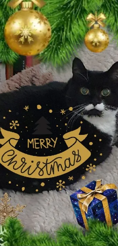 Festive black and white cat among Christmas decor with pine branches and gifts.