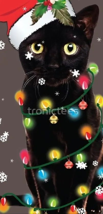 Black cat with Santa hat and Christmas lights.