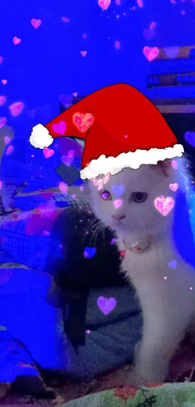 Festive white kitten with Santa hat in blue lighting as mobile wallpaper.