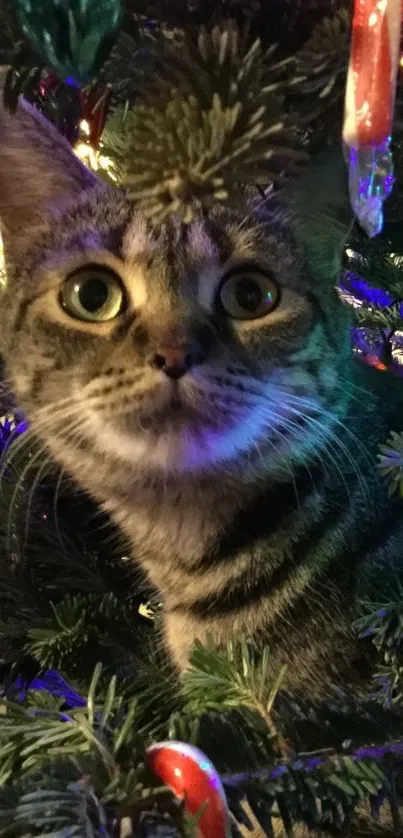 Adorable cat nestled in a Christmas tree with festive decor and vibrant colors.