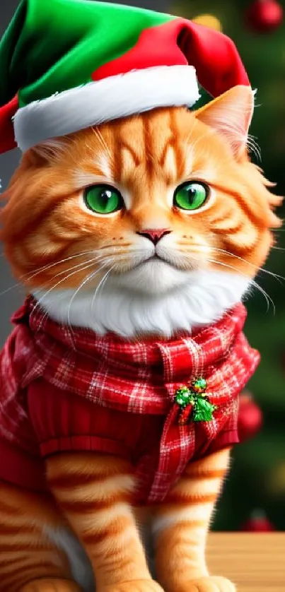 Orange tabby cat with green eyes in Santa hat and scarf by Christmas tree.