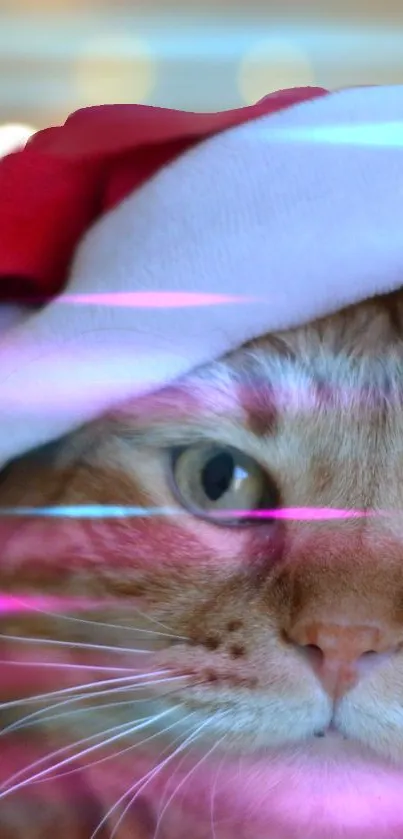 Festive cat wearing a Santa hat with pink and blue light streaks.