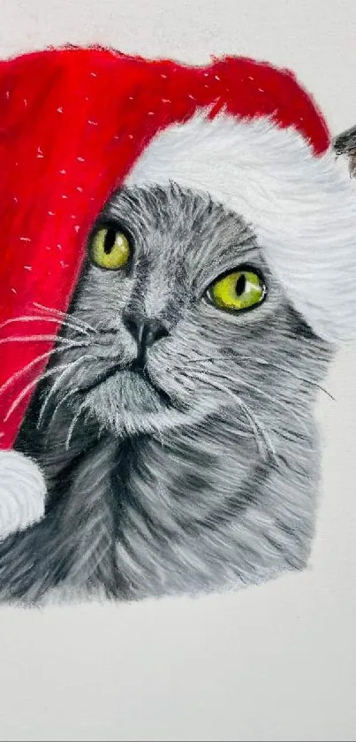 Grey cat with Santa hat mobile wallpaper.