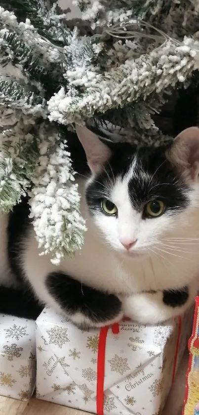 Cat under Christmas tree with gifts, snowy scene.