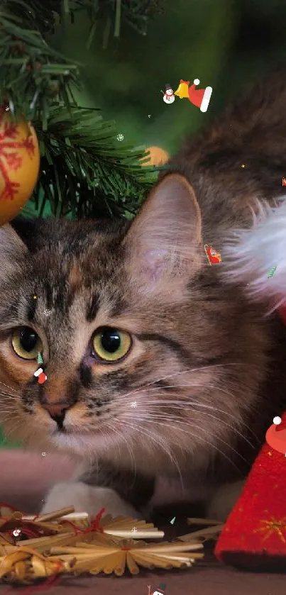 Festive scene with tabby cat under a decorated Christmas tree and red stocking.