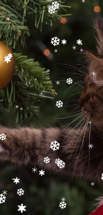 Cat playfully reaches for Christmas tree ornaments.