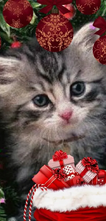 Fluffy kitten with red Christmas ornaments and gifts.