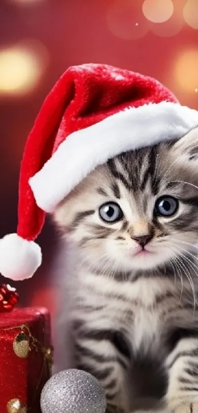 Cute kitten with Santa hat, red festive background.