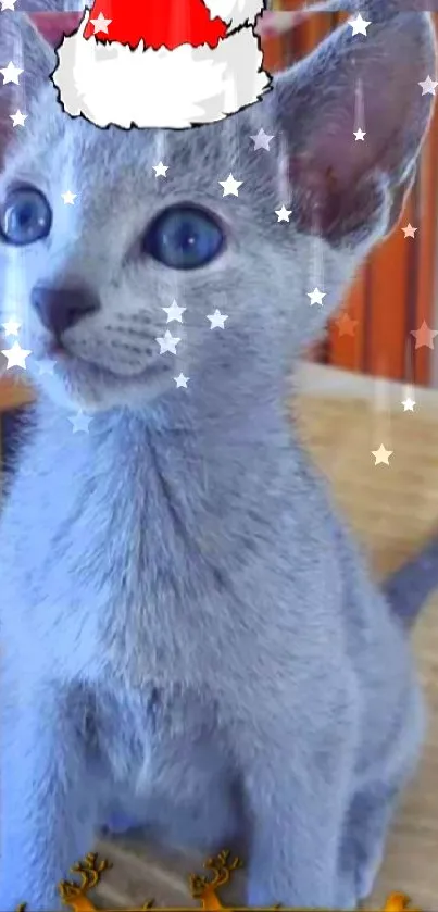 Adorable kitten with Santa hat and reindeer motif on wallpaper.