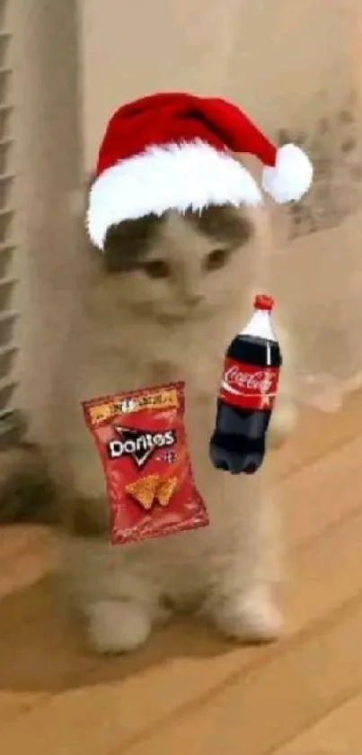 Adorable cat with Santa hat, snacks in background.