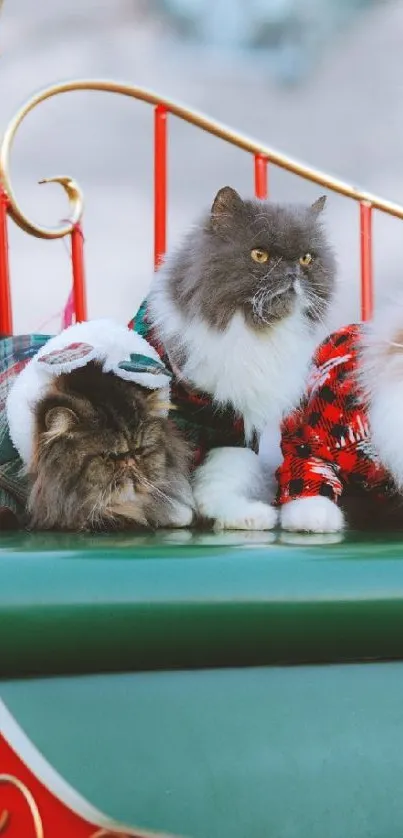 Fluffy cats in festive outfits on a red sleigh.