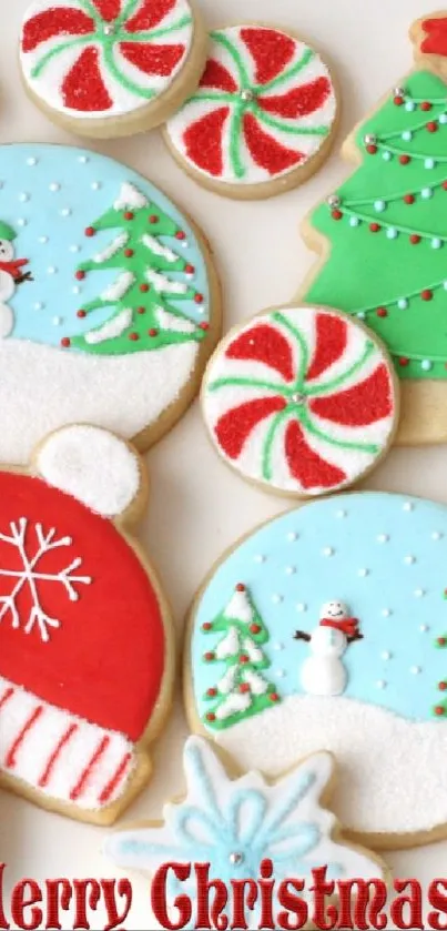 Festive Christmas cookies and decorations with Merry Christmas text.