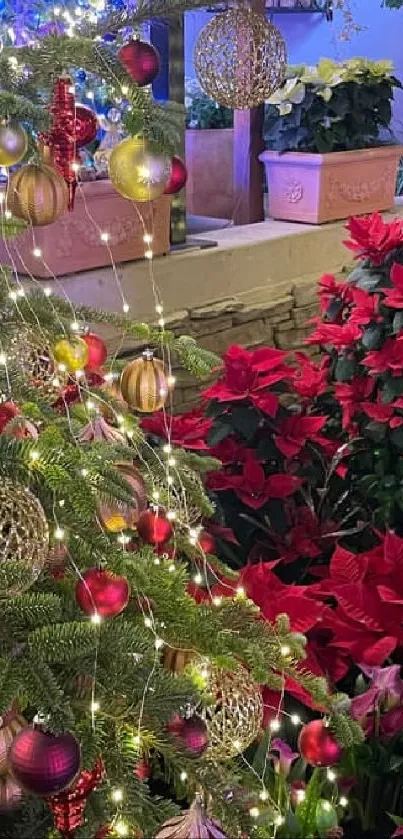 Festive garden with Christmas tree and poinsettias.