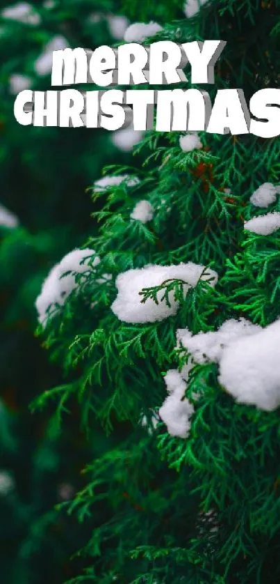 Snow-covered evergreen branches with Merry Christmas text.