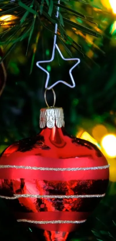 Red shimmering ornament on Christmas tree.