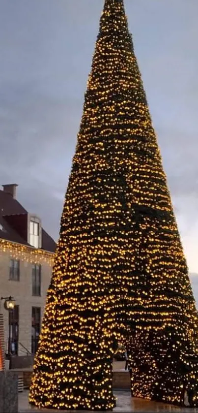 Majestic Christmas tree lit with golden lights in an urban setting.