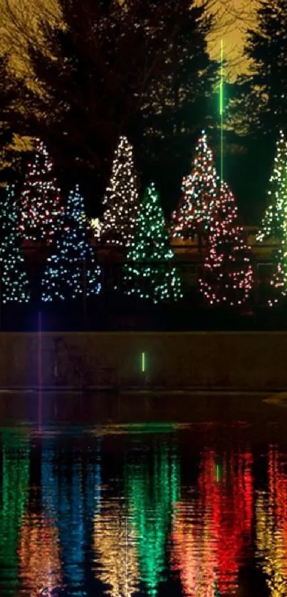 Vibrant Christmas trees reflecting on water at night.