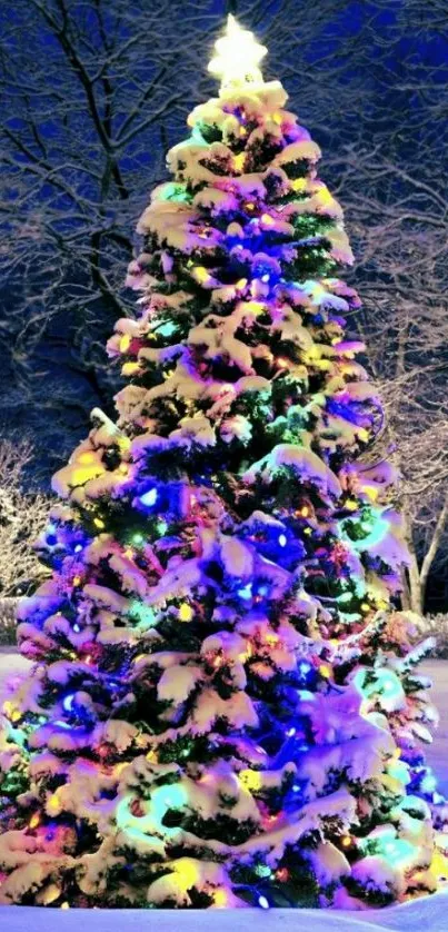 Bright Christmas tree with lights in snowy landscape.