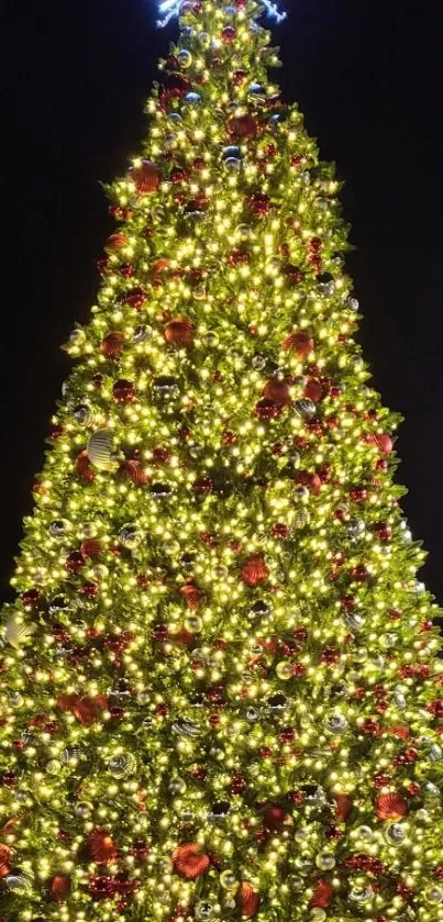 Brilliantly lit Christmas tree glowing in festive colors.