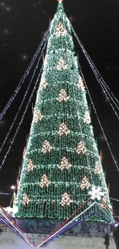 A tall Christmas tree adorned with vibrant lights against a dark night sky.