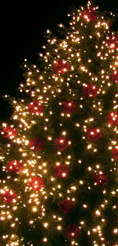 Festive Christmas tree with glowing lights and red ornaments.