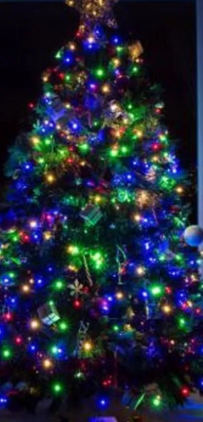 A vibrantly lit Christmas tree with multicolored lights.