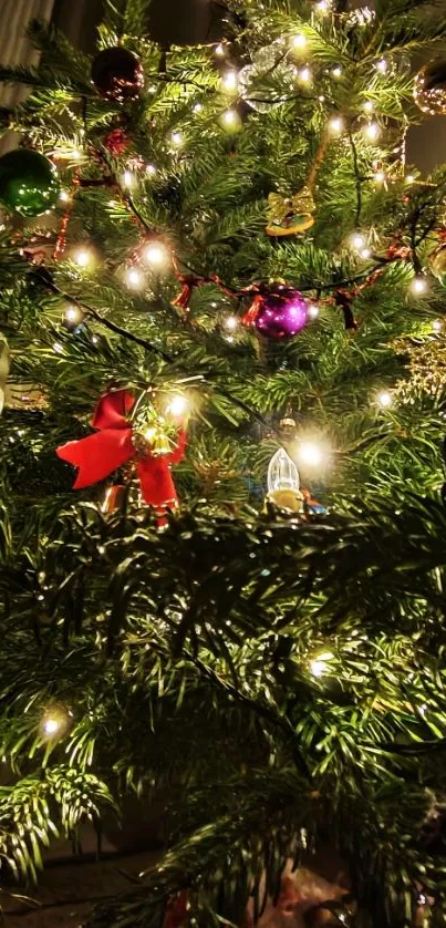 Christmas tree lit up with festive lights and ornaments indoors.