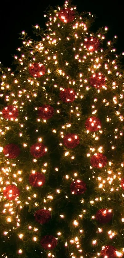 Christmas tree with sparkling lights and red ornaments.